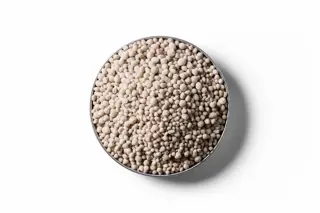250403 RVD Kieserite