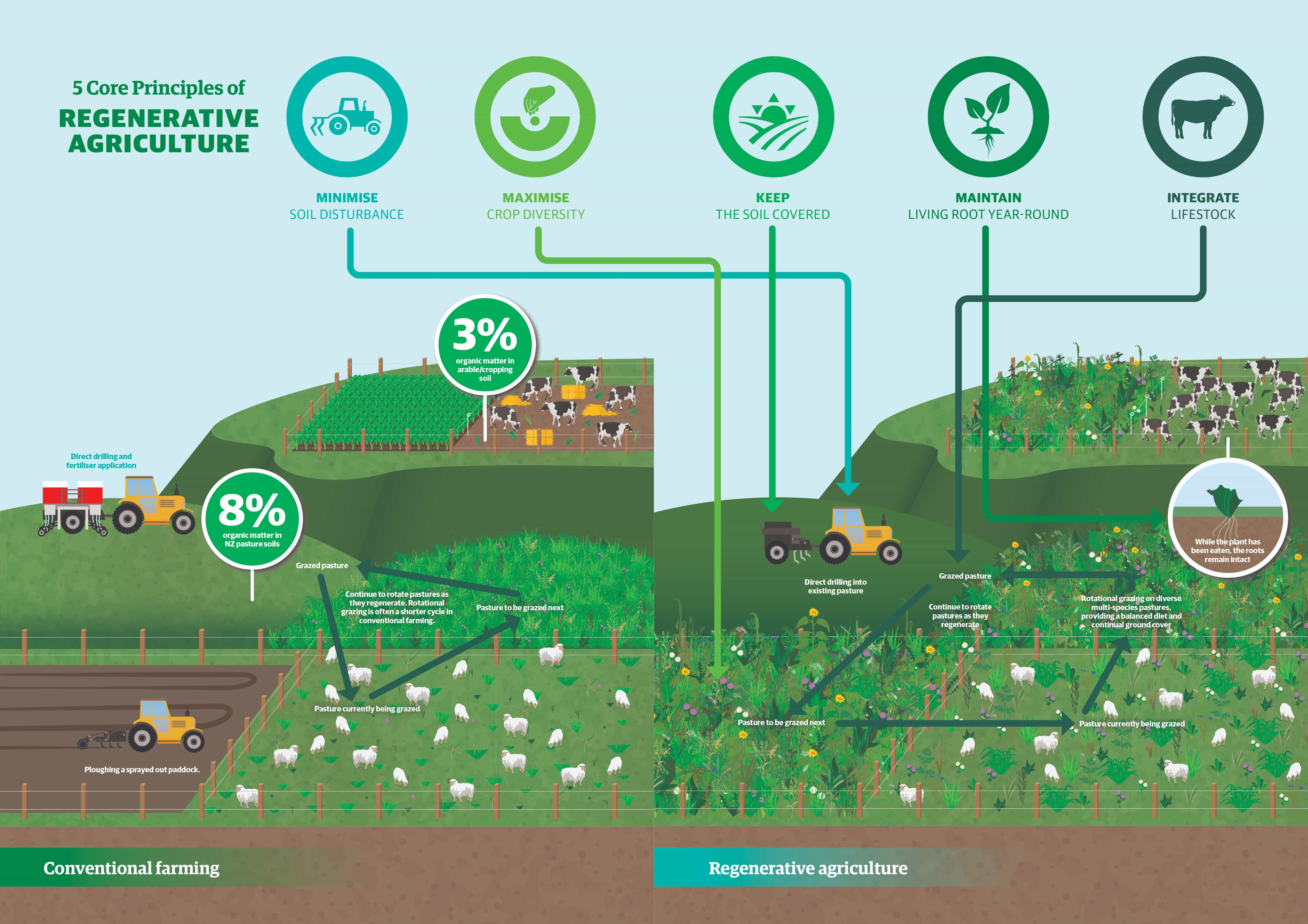 Regenerating New Zealand Pastoral Agriculture