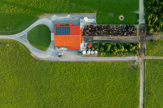 20241119 RAV Stewartdairylands Manawatu 004