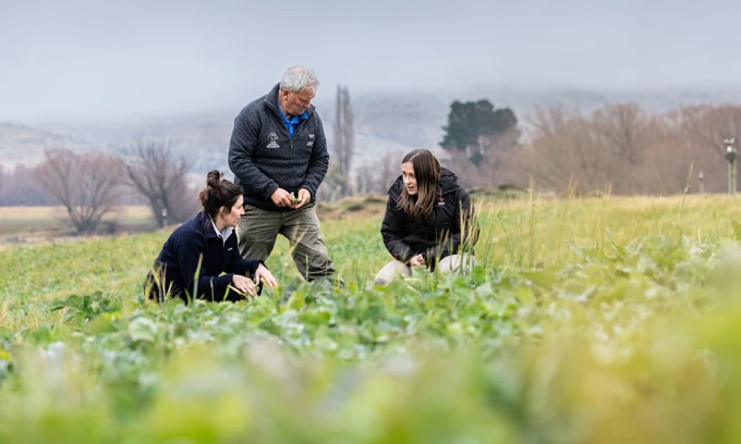 Farmers In Field