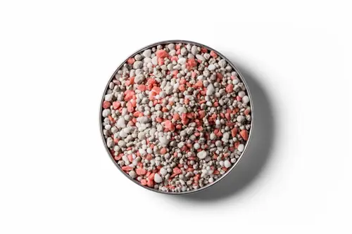 250403 RVD Dairy Pasture Boost 10