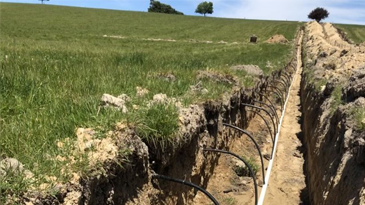 Sub-surface drip irrigation on Russell and Rose Rudd's Waimakariri property.