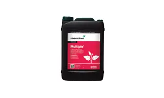 Multiple 20L 700X420