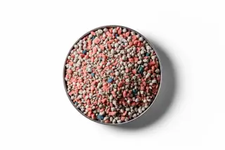 250403 RVD Lucerne Mix Plus Te