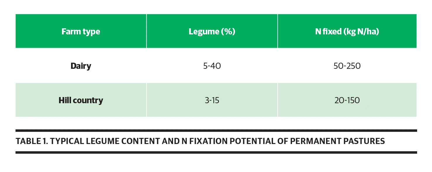 Legum Content
