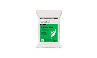 Endure Mini 10KG 700X420