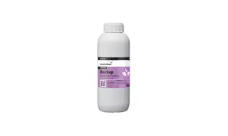 Backup 1L 700X420