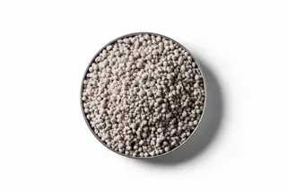 250403 RVD Magnesium Super