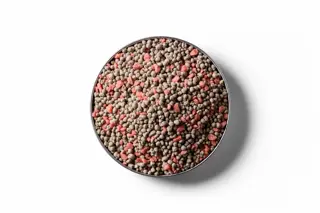 250403 RVD Ammo Phos Hycrop 7 15 15