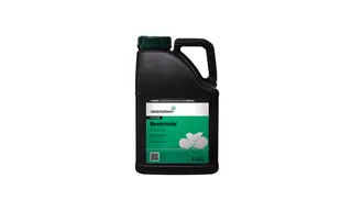 Beetrizole 5L 700X420